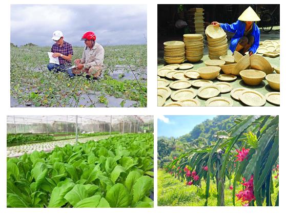 Chiến lược phát triển ngành nghề nông thôn đến năm 2030, tầm nhìn đến năm 2045