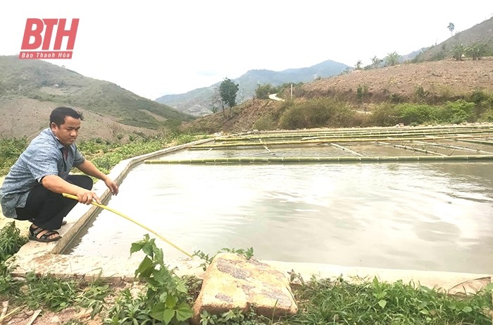 Nông dân thoát nghèo nhờ phát triển mô hình kinh tế vườn đồi