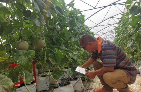 Nông dân đẩy mạnh đưa sản phẩm lên sàn giao dịch điện tử