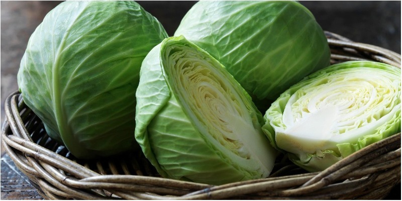 Xác định dư lượng carbamate trong bắp cải tại Thành phố Buôn Ma Thuột, tỉnh Đắk Lắk